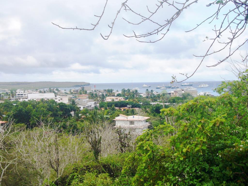 Hotel Pelican Bay Puerto Ayora  Bagian luar foto