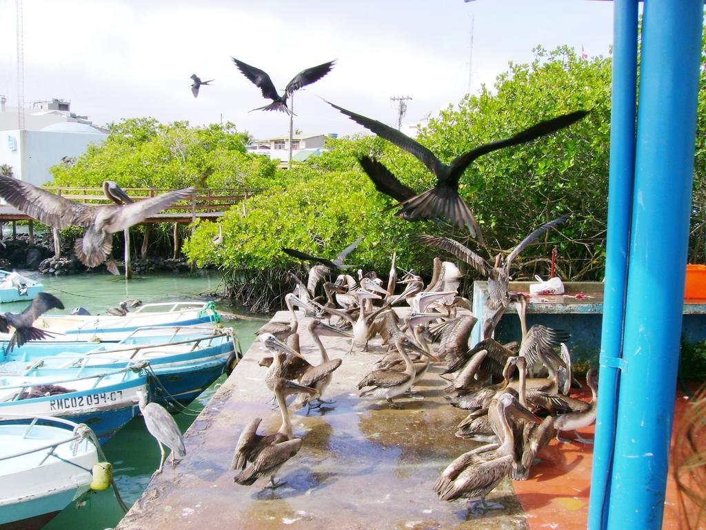 Hotel Pelican Bay Puerto Ayora  Bagian luar foto